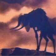 ヒメ日記 2026/03/04 02:33 投稿 ひつじ 奥様メモリアル