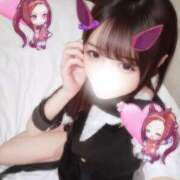 ヒメ日記 2026/03/12 18:26 投稿 ひつじ 奥様メモリアル