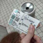 ヒメ日記 2026/03/12 22:26 投稿 ひつじ 奥様メモリアル