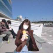 ヒメ日記 2026/03/16 11:26 投稿 ひつじ 奥様メモリアル