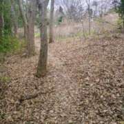 ヒメ日記 2026/03/18 18:26 投稿 ひつじ 奥様メモリアル