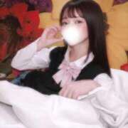 ヒメ日記 2026/03/20 14:26 投稿 ひつじ 奥様メモリアル