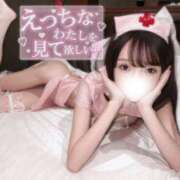 ヒメ日記 2026/03/21 10:26 投稿 ひつじ 奥様メモリアル