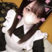 ヒメ日記 2026/04/15 20:26 投稿 ひつじ 奥様メモリアル