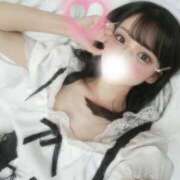 ひつじ 頭にアルミホイル効果 奥様メモリアル