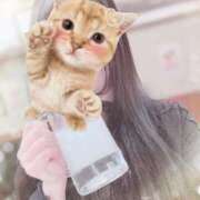 ヒメ日記 2025/12/03 11:20 投稿 ことね ホワイトベル