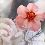 ヒメ日記 2025/12/22 10:42 投稿 ことね ホワイトベル