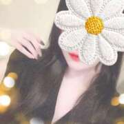 ヒメ日記 2025/12/27 11:42 投稿 ことね ホワイトベル