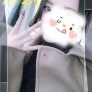 ヒメ日記 2025/12/29 11:02 投稿 ことね ホワイトベル