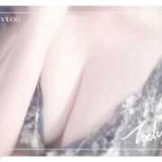 ヒメ日記 2026/01/10 11:12 投稿 ことね ホワイトベル