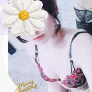 ヒメ日記 2026/01/17 11:12 投稿 ことね ホワイトベル