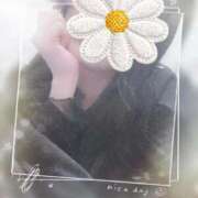 ヒメ日記 2026/01/22 15:12 投稿 ことね ホワイトベル