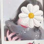 ヒメ日記 2026/02/02 18:14 投稿 ことね ホワイトベル