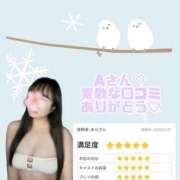 ヒメ日記 2026/01/09 11:01 投稿 つきの 池袋ぱんぷきん（シンデレラグループ）