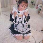 ヒメ日記 2025/12/29 07:33 投稿 ウサギ ピカソ