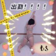 ヒメ日記 2025/12/30 11:52 投稿 ウサギ ピカソ