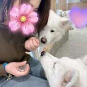 ヒメ日記 2026/02/01 21:30 投稿 亜希子 出会い系人妻ネットワーク 五反田～品川編