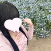 ヒメ日記 2026/04/22 23:50 投稿 ふう E+アイドルスクール　大阪・日本橋店