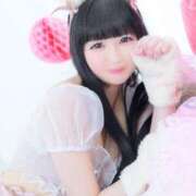 ヒメ日記 2026/04/29 03:22 投稿 ふう E+アイドルスクール　大阪・日本橋店