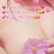 ヒメ日記 2026/01/04 06:30 投稿 真白ひめか コウテイ