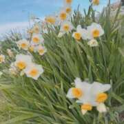 ヒメ日記 2026/01/20 11:57 投稿 真白ひめか コウテイ