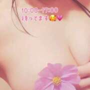 ヒメ日記 2026/01/29 06:25 投稿 真白ひめか コウテイ