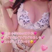 ヒメ日記 2026/02/15 08:39 投稿 真白ひめか コウテイ