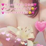 ヒメ日記 2026/02/19 06:30 投稿 真白ひめか コウテイ