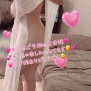 ヒメ日記 2026/02/19 08:18 投稿 真白ひめか コウテイ