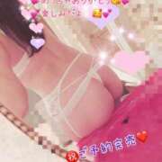 ヒメ日記 2026/05/13 08:05 投稿 真白ひめか コウテイ