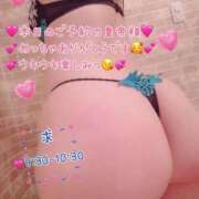 ヒメ日記 2026/05/16 06:30 投稿 真白ひめか コウテイ