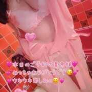 ヒメ日記 2026/05/26 08:12 投稿 真白ひめか コウテイ