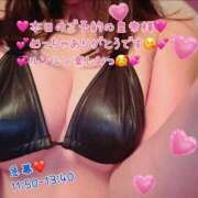 ヒメ日記 2026/05/31 08:05 投稿 真白ひめか コウテイ