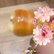ヒメ日記 2026/06/03 19:09 投稿 真白ひめか コウテイ