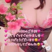 ヒメ日記 2026/06/13 19:06 投稿 真白ひめか コウテイ