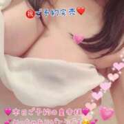 ヒメ日記 2026/07/16 08:17 投稿 真白ひめか コウテイ