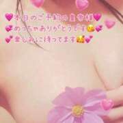 ヒメ日記 2026/08/20 06:15 投稿 真白ひめか コウテイ