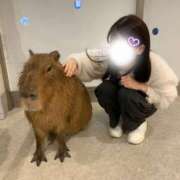 いろは お久しぶりです🌸 制服天国（ユメオト）