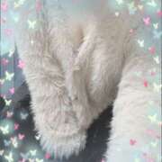 ヒメ日記 2026/04/03 08:58 投稿 葉月 愛菜 こあくまな熟女たち 本厚木店(KOAKUMAグループ)