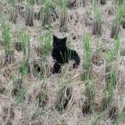 ヒメ日記 2026/03/05 16:51 投稿 ちか「人妻」 奥様アテンド小山店