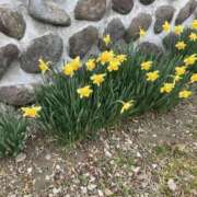 ヒメ日記 2026/04/05 19:41 投稿 ちか「人妻」 奥様アテンド小山店