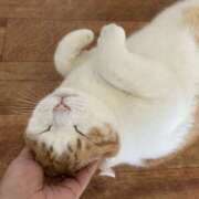 ヒメ日記 2026/04/13 13:51 投稿 ちか「人妻」 奥様アテンド小山店