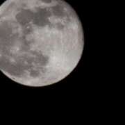 ヒメ日記 2026/02/06 00:23 投稿 ねね Latte(ラテ)