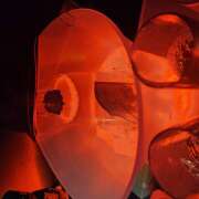 ヒメ日記 2026/02/20 00:15 投稿 ねね Latte(ラテ)