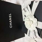 ヒメ日記 2025/12/29 01:54 投稿 れいか Latte(ラテ)