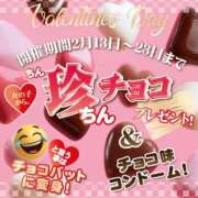 ヒメ日記 2026/02/14 12:03 投稿 ひまわり 新宿・本格コスプレ素人アイドル学園イメクラ「新入生」