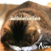 ヒメ日記 2025/12/08 20:25 投稿 ねね 熟女の風俗最終章 蒲田店