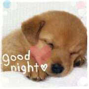 ヒメ日記 2026/01/16 22:10 投稿 ねね 熟女の風俗最終章 蒲田店