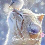 ヒメ日記 2026/01/23 06:20 投稿 ねね 熟女の風俗最終章 蒲田店