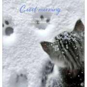 ヒメ日記 2026/02/10 06:00 投稿 ねね 熟女の風俗最終章 蒲田店